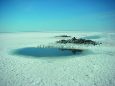 Озеро Эльтон (фотоконкурс "Красота родного края")