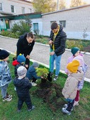 Коллеги из Бубновского ЛПУМГ высадили цветущие кустарники на территории детского сада «Цветочек»
