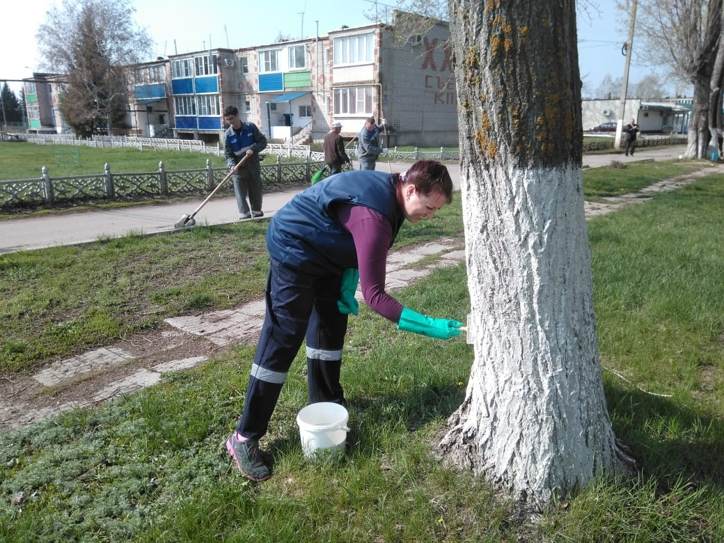 Писаревка Кантемировский район. Писаревка Воронежская область Кантемировский район. Село Писаревка Воронежская область. Село Писаревка Кантемировский район.