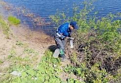 Работники Палласовского ЛПУМГ расчистили 1.5 километра берега реки Торгун